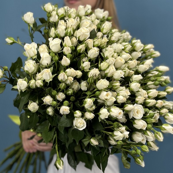 35 кустовых роз Сноу Бабл 70 см