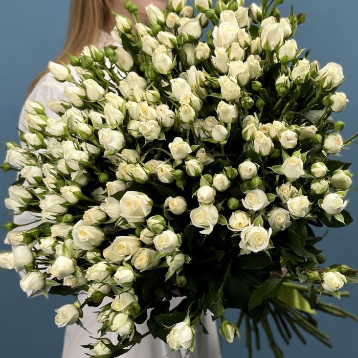 35 кустовых роз Сноу Бабл 60 см