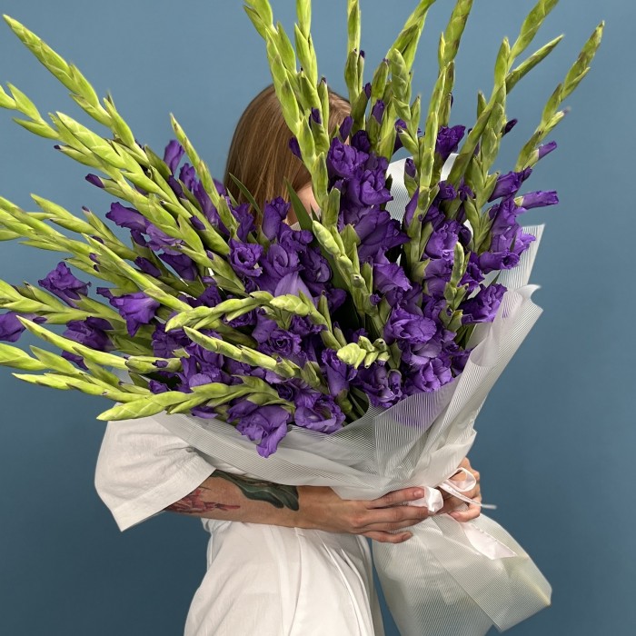 35 темно-фиолетовых гладиолусов