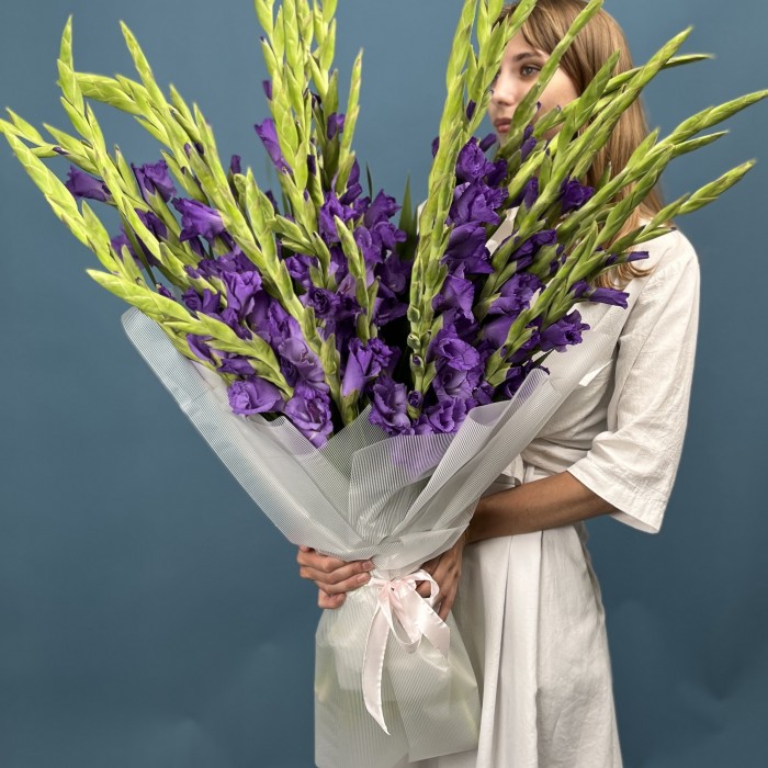 35 темно-фиолетовых гладиолусов