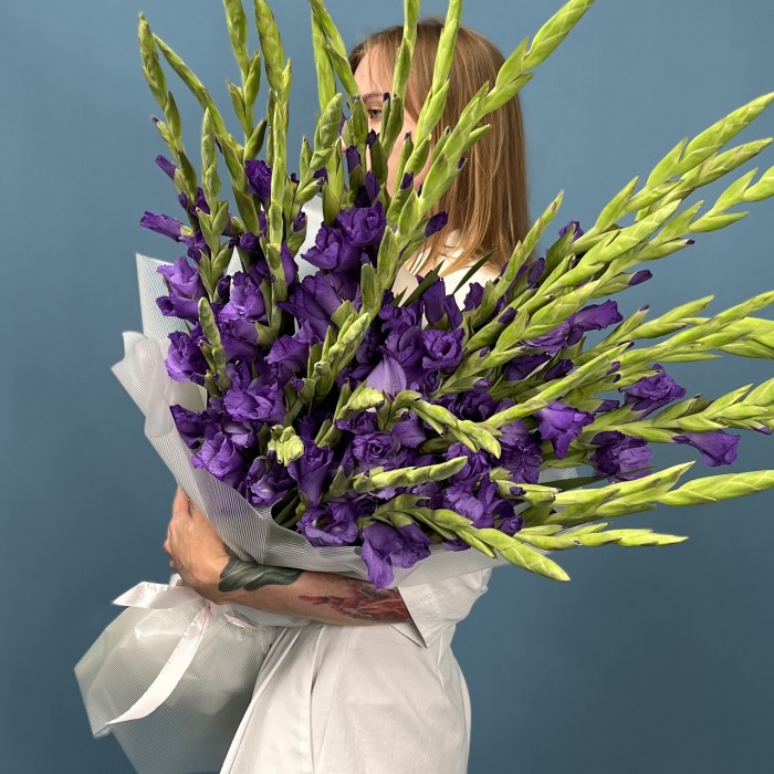 35 темно-фиолетовых гладиолусов