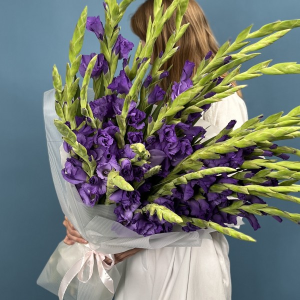 35 темно-фиолетовых гладиолусов