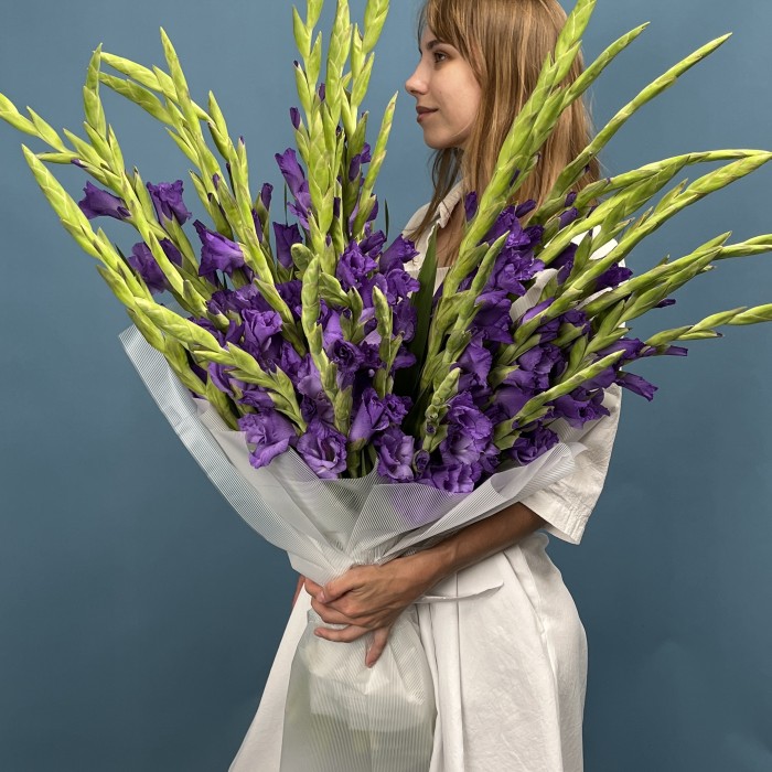 35 темно-фиолетовых гладиолусов