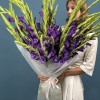 35 темно-фиолетовых гладиолусов