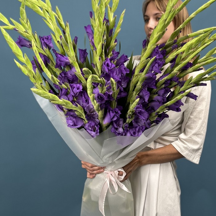 35 темно-фиолетовых гладиолусов