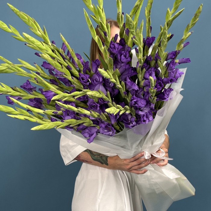 35 темно-фиолетовых гладиолусов