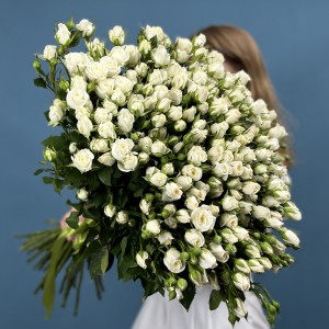 45 кустовых роз Сноу Бабл 60 см