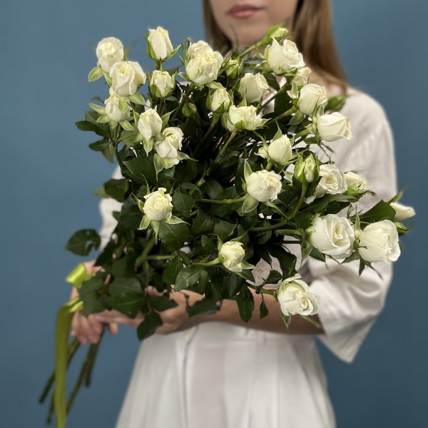 5 кустовых белых роз Сноу Бабл 70 см