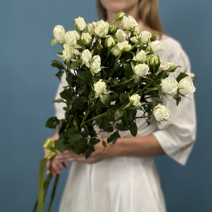 5 кустовых белых роз Сноу Бабл 70 см