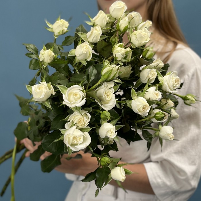 5 кустовых белых роз Сноу Бабл 70 см