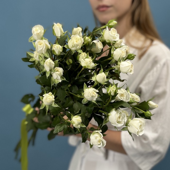 5 кустовых белых роз Сноу Бабл 70 см