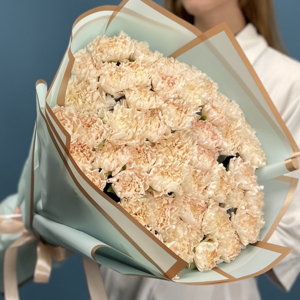 51 гвоздика Эппл ти