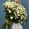 51 кустовая роза Сноу Бабл 60 см