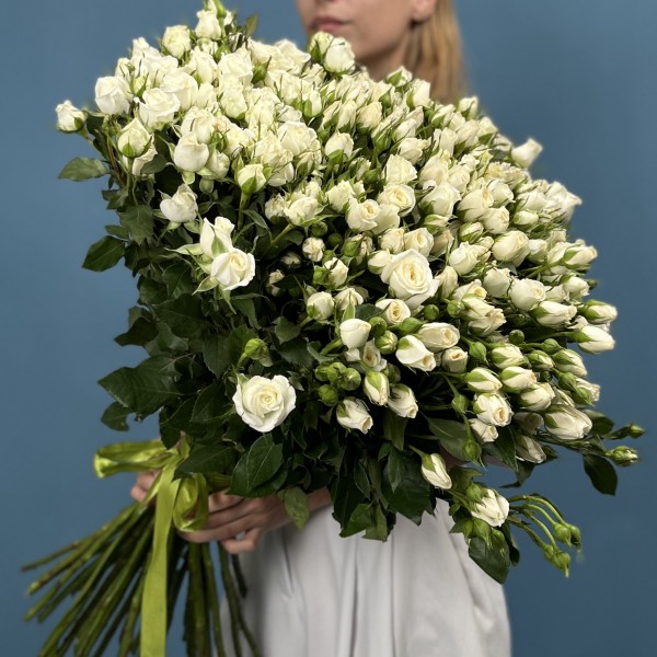 51 кустовая роза Сноу Бабл 70 см