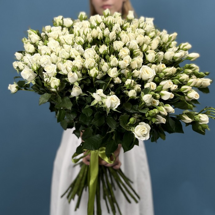 51 кустовая роза Сноу Бабл 70 см