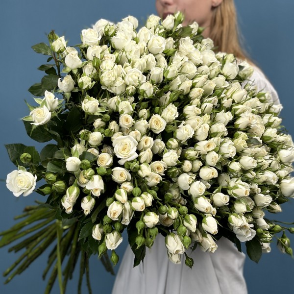 51 кустовая роза Сноу Бабл 60 см