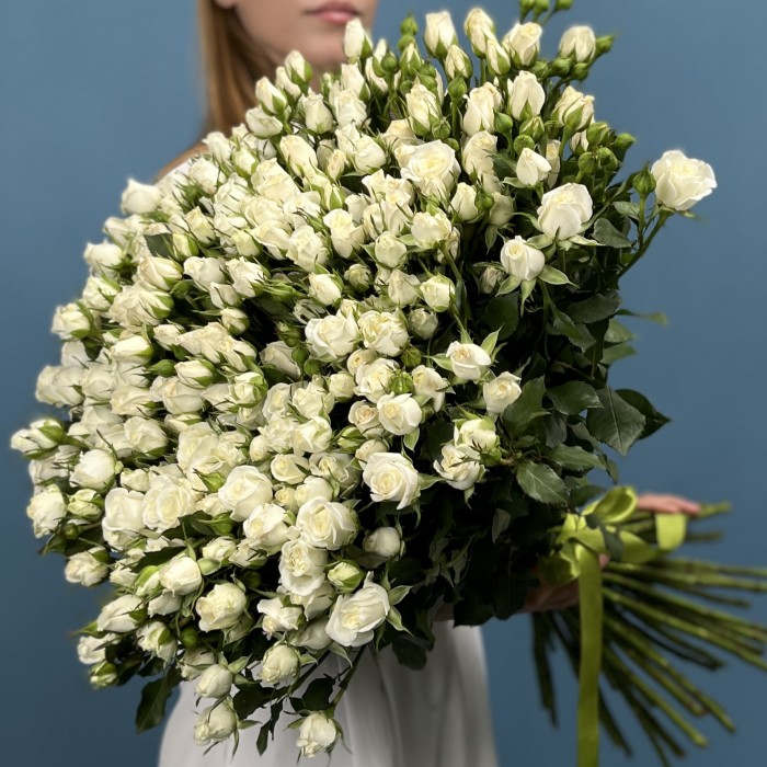 51 кустовая роза Сноу Бабл 70 см