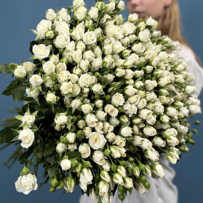 51 кустовая роза Сноу Бабл 70 см