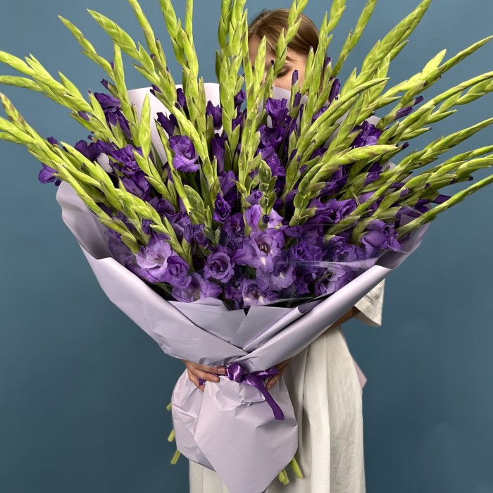 51 темно-фиолетовый гладиолус