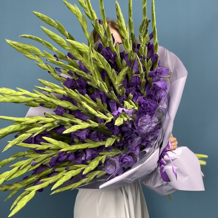 51 темно-фиолетовый гладиолус