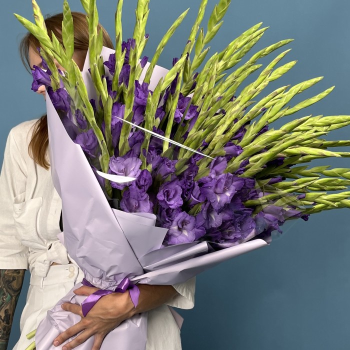 51 темно-фиолетовый гладиолус