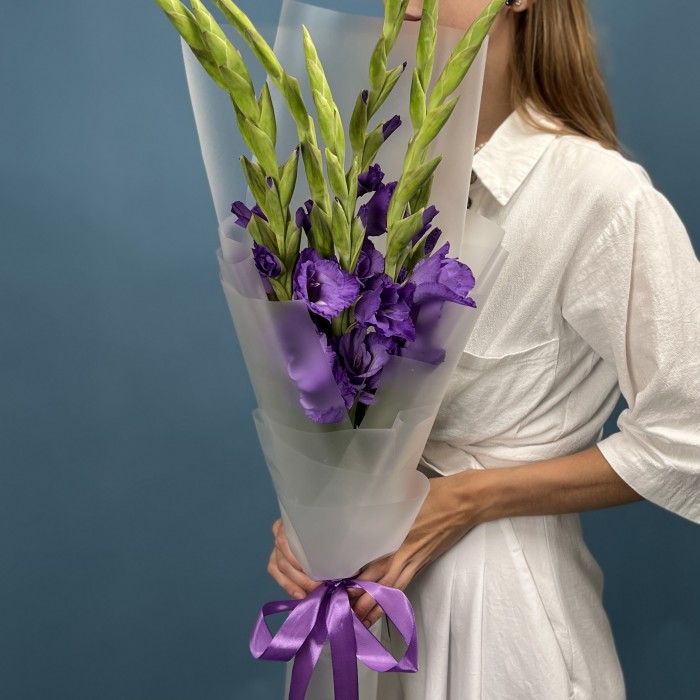 7 темно-фиолетовых гладиолусов