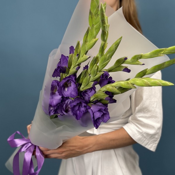 7 темно-фиолетовых гладиолусов