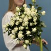 9 кустовых роз Сноу Бабл 60 см