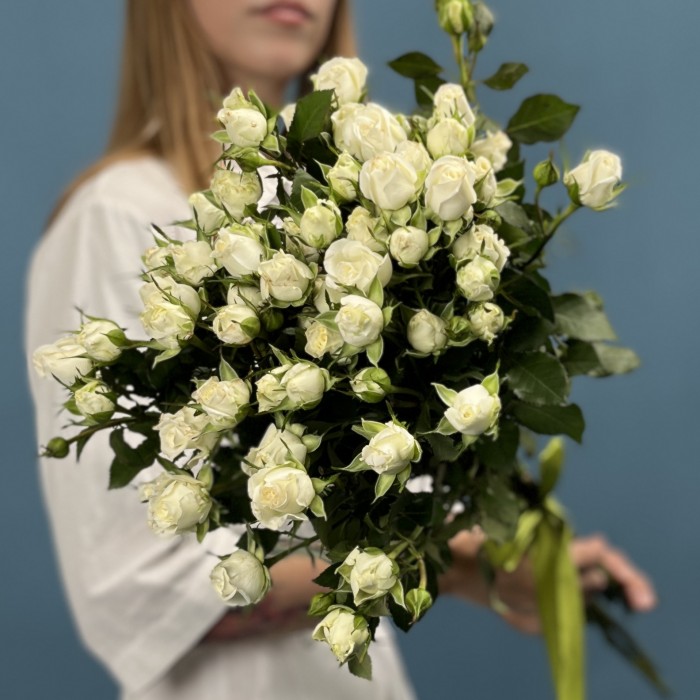 9 кустовых белых роз Сноу Бабл 70 см