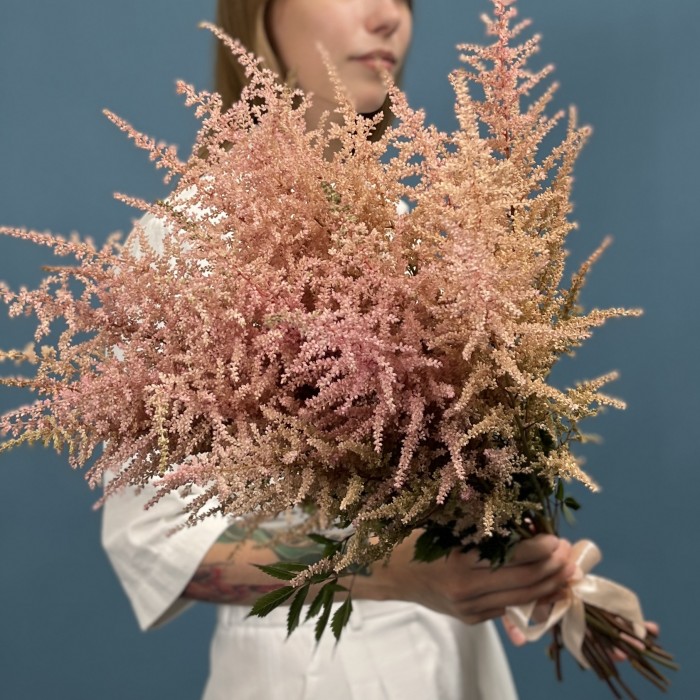 Астильба розовая