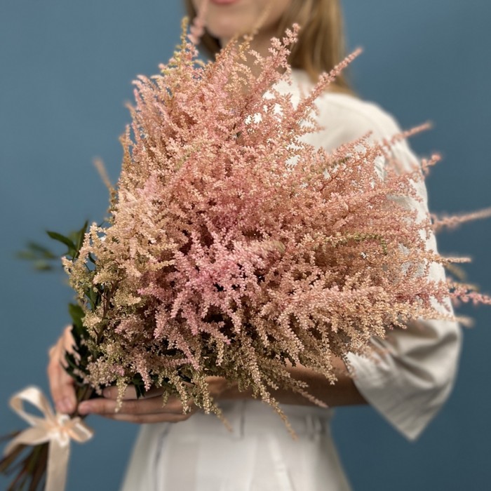 Астильба розовая