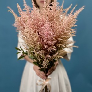 Астильба розовая