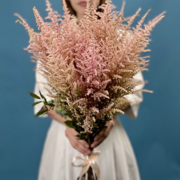 Астильба розовая