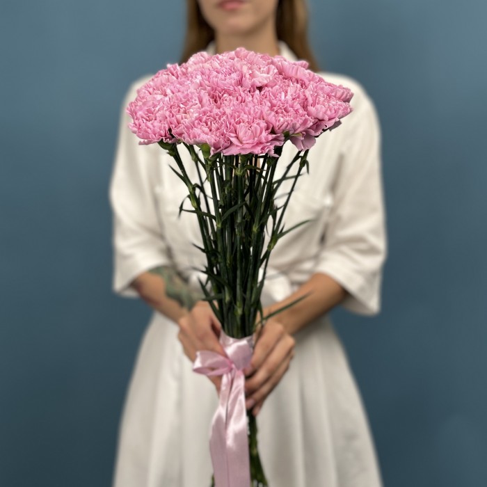 Гвоздика сиреневая