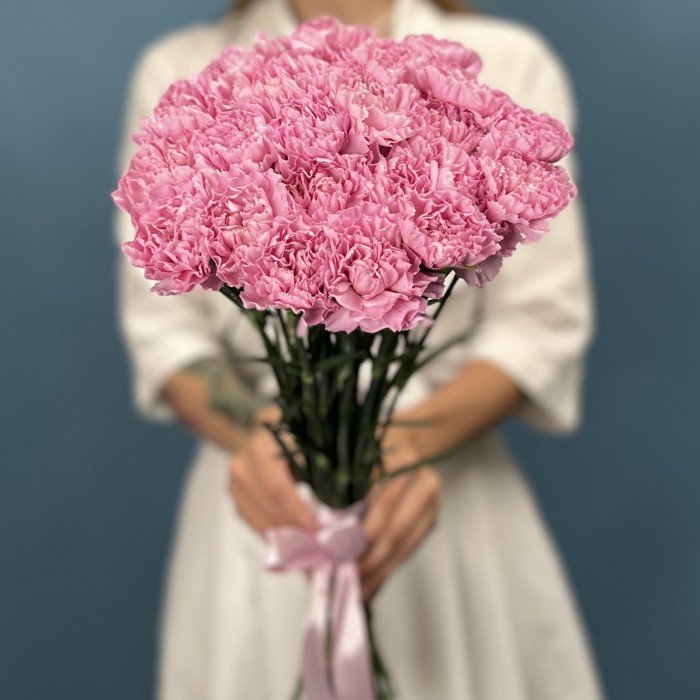 Гвоздика сиреневая