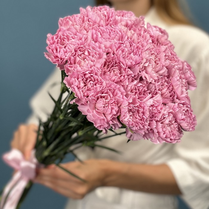 Гвоздика сиреневая