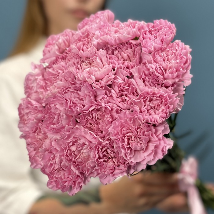 Гвоздика сиреневая