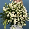 Кустовая роза Сноу баблс 60 см