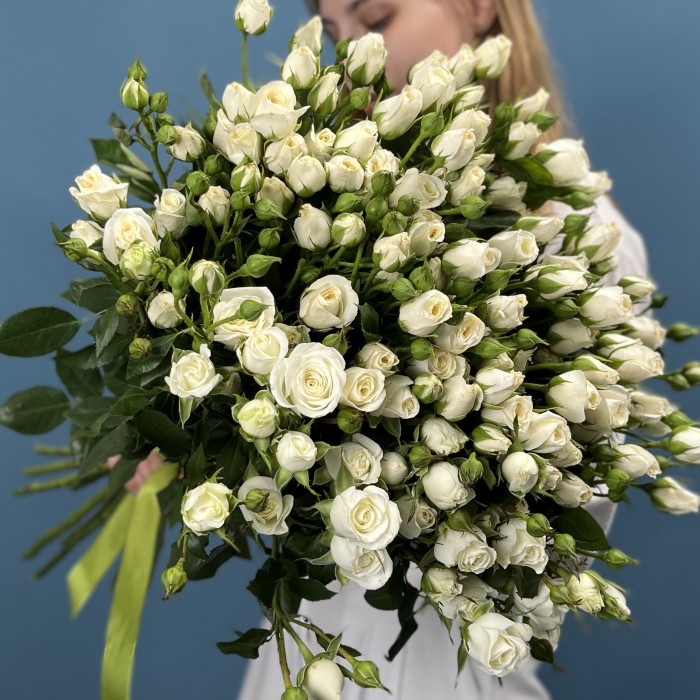 Кустовая роза Сноу баблс 70 см