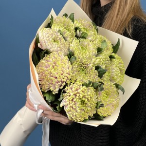 11 сиренево-зеленых хризантем Зембла