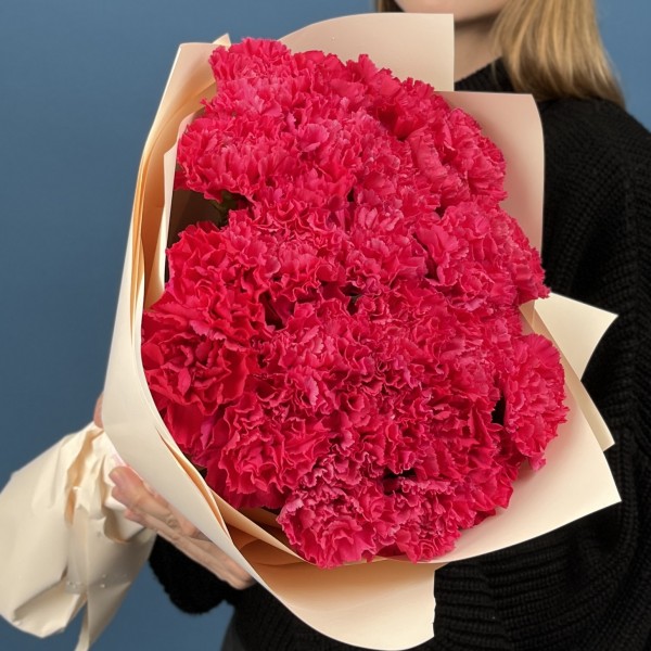 25 малиновых гвоздик