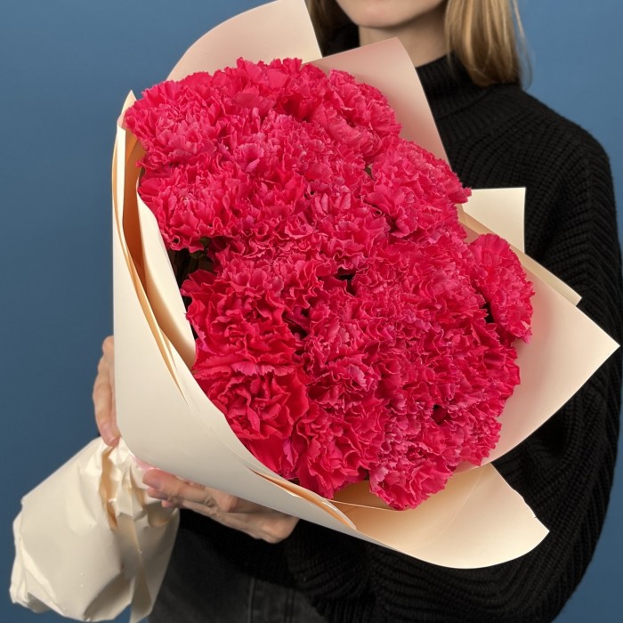 25 малиновых гвоздик