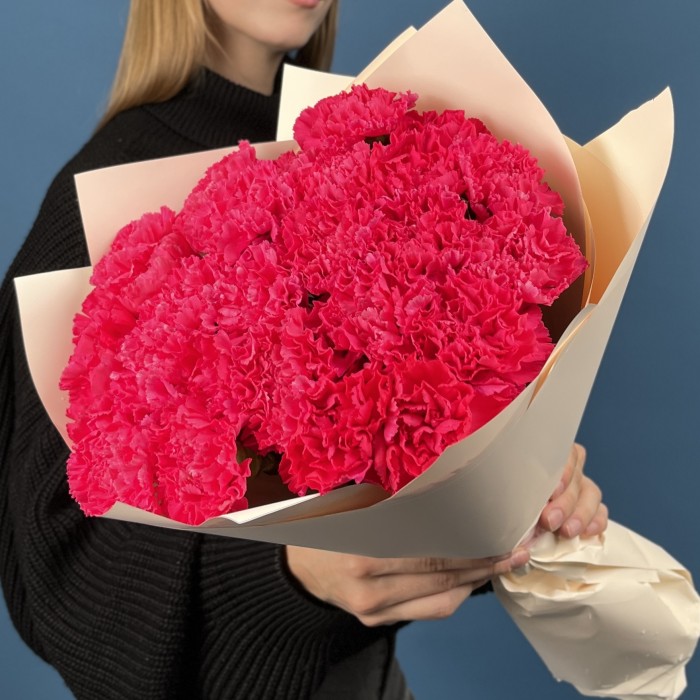 25 малиновых гвоздик