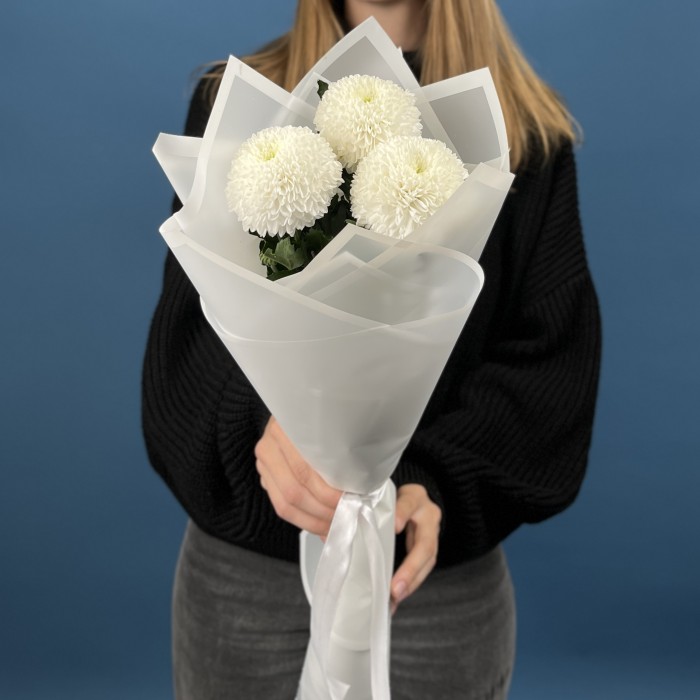 3 белые хризантемы Помпон