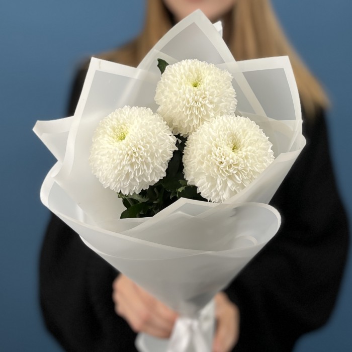 3 белые хризантемы Помпон