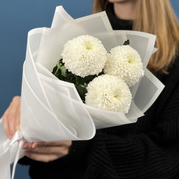 3 белые хризантемы Помпон