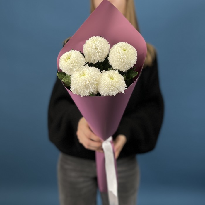 5 белых хризантем помпон