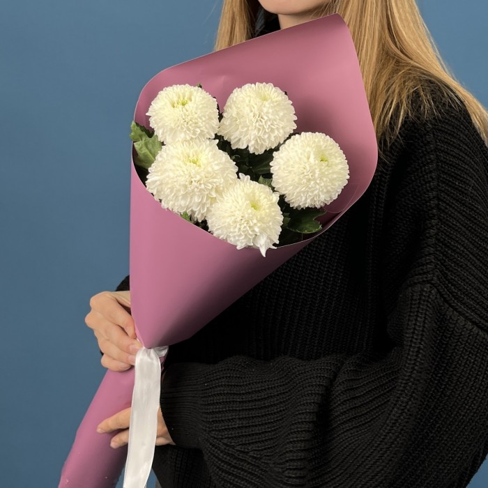 5 белых хризантем помпон