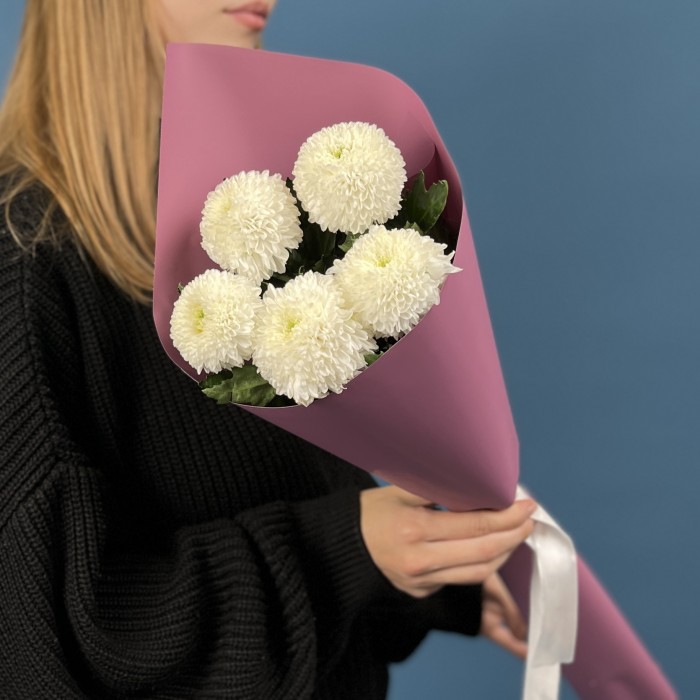 5 белых хризантем помпон