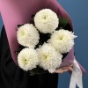 5 белых хризантем Помпон